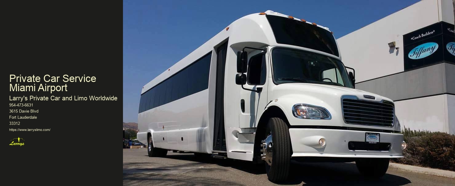 8 Passenger Party Bus